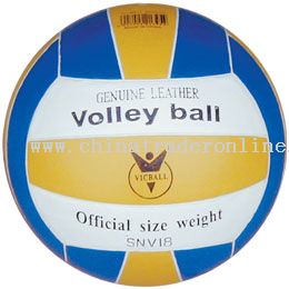laminated volleyball